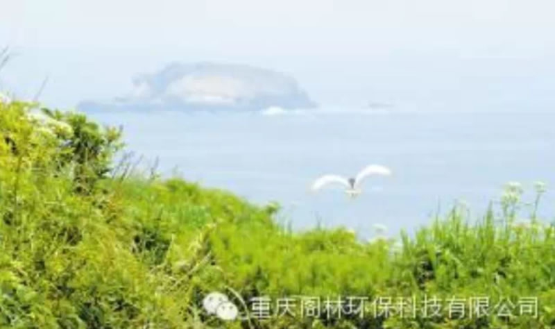 環(huán)境修復(fù)投資需超十萬(wàn)億