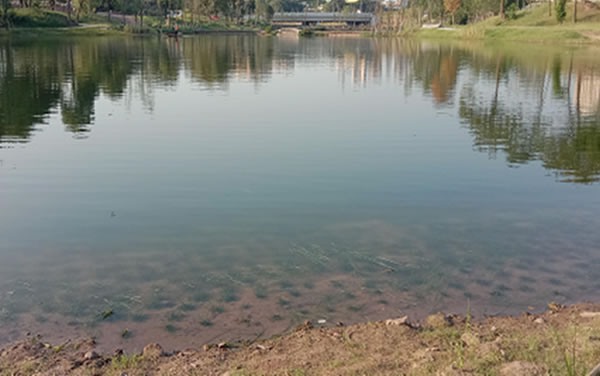 重慶高新區巴福鎮大溪河水系生態修復工程項目