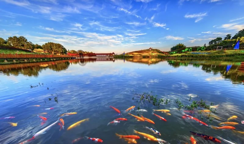 轉載 | 全市農村黑臭水體清零區縣創建暨農村生活污水治理工作現場推進會召開